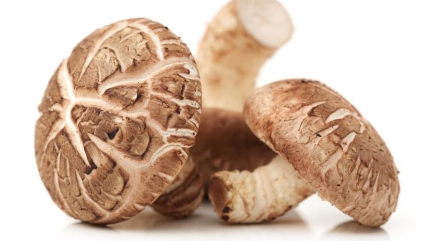 Predstonorm contén cogomelos shiitake
